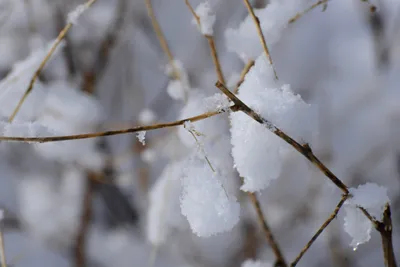 DSC_0764 (Large).JPG